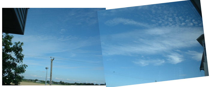 Whale Sylph Vancouver BC Oct 2006 orig